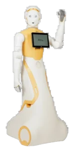 PAL Robotics ARI