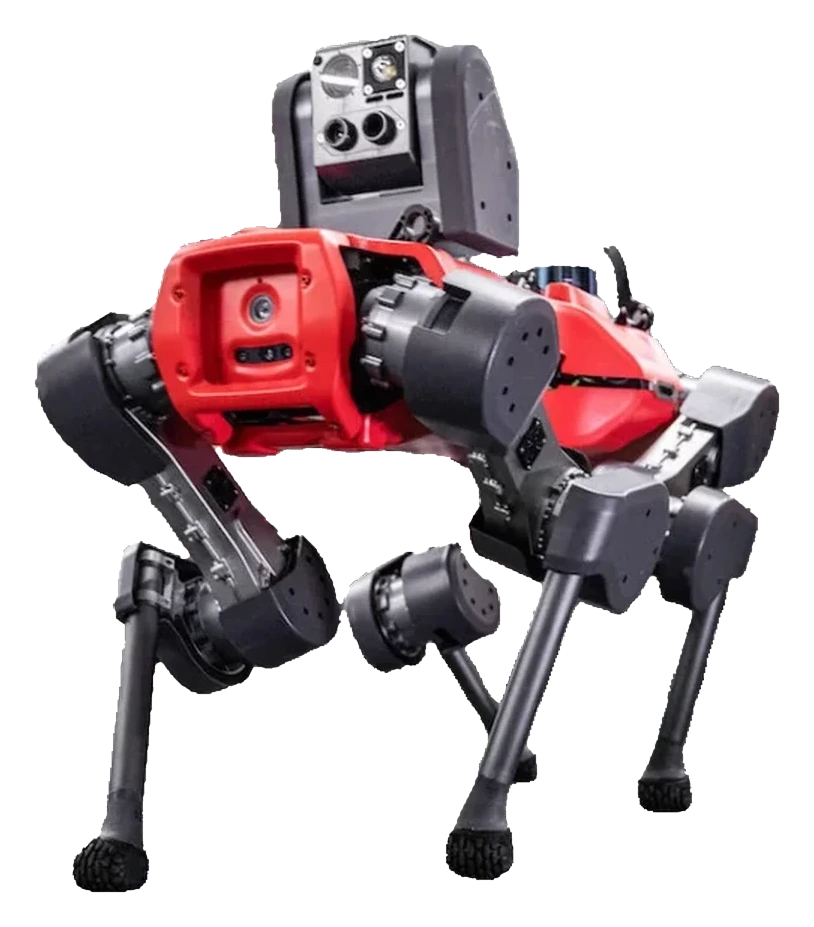 ANYbotics ANYmal