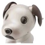 Sony Aibo ERS-1000