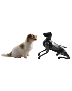 Xiaomi CyberDog 2