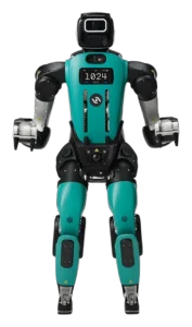 Digit 5